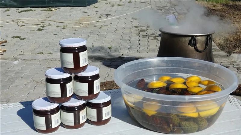 W Ayvalık szyszki sosnowe gotowane przez 8 godzin w ognisku przy udziale kobiet zamieniają się w syrop.