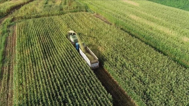 Установлены основные принципы охраны и использования сельскохозяйственных земель